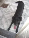 Mel