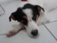 Branquinha