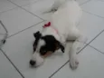 Branquinha