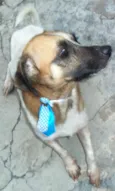 Kiko