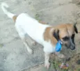 Kiko