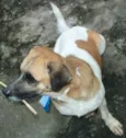 Kiko