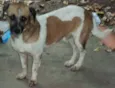 Kiko