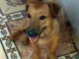 Pequena