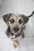 Nina
