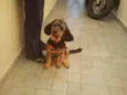 princesa