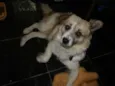 Tico e Teco
