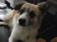 Tico e Teco
