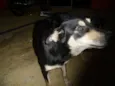 Faísca/Fumaça