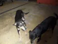 Faísca/Fumaça