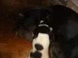 NÃO TEM