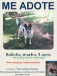 BOLINHA