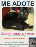 AGATHA