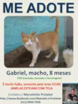 GABRIEL