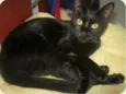 AGATHA