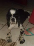 Sam