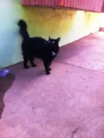 Lili
