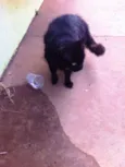 Lili
