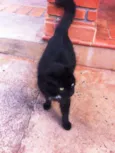 Lili