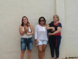 Cachorro raça Pinscher idade 6 ou mais anos nome BORIS