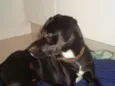 Eros