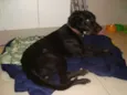 Eros