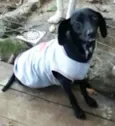 ENCONTRADO