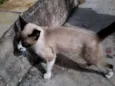 Não possui ainda