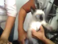 Tudinho