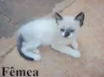 Lindos