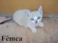 Lindos