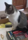 TITO