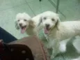 ZÉ E MORENA
