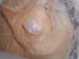 Shayene
