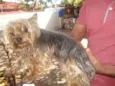 ENCONTRADO