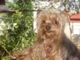 ENCONTRADO