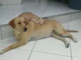 Nikita