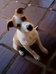 Charlie