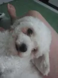 Milly GRATIFICA