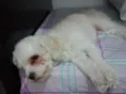 Milly GRATIFICA