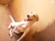 Mili