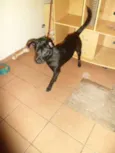 luna