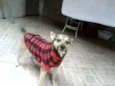 billy