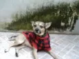billy