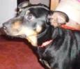 Chiquinho