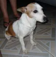 Lupita