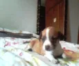 nome indefinidado