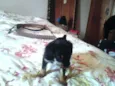 nome indefinidado