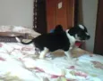 nome indefinidado
