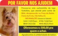 Bidú GRATIFICA